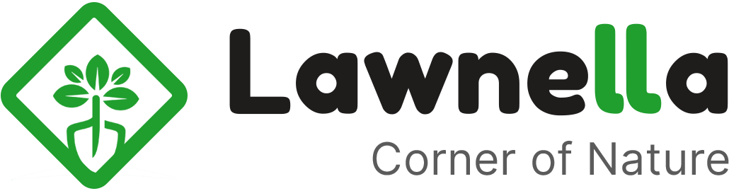 My WordPress Site